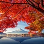 Is It Better to Drive in Or to Ship the Car While Relocating?