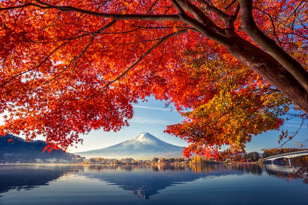To Know More about Autumn Season Of Japan