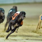 Hidden Camera Clock: A Must-Have Gadget for Home and Office Security