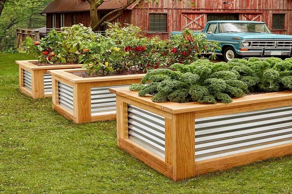 Understanding About The Tiered Garden Boxes_2
