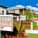 Emergency Veterinary Care: Understanding Ampicillin for Injectable Suspension